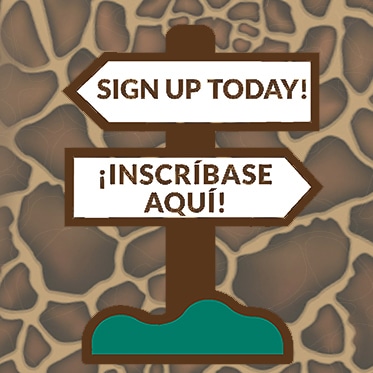 Sign Up Button